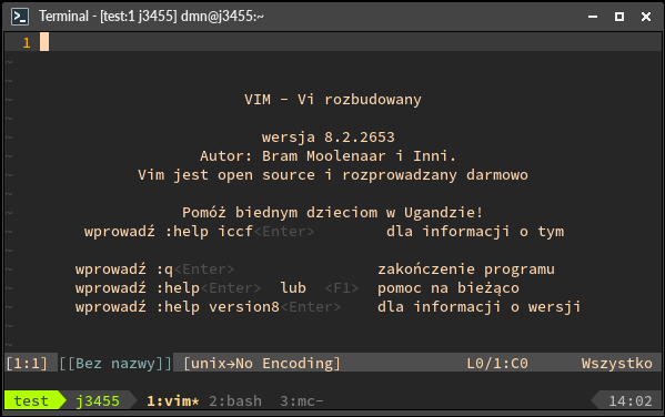 tmux-theme